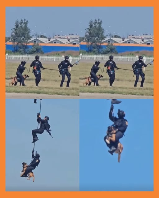 perrito policía