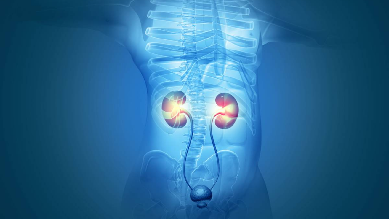 Proteinuria (protein in urine) kidney evaluation in Hyderabad