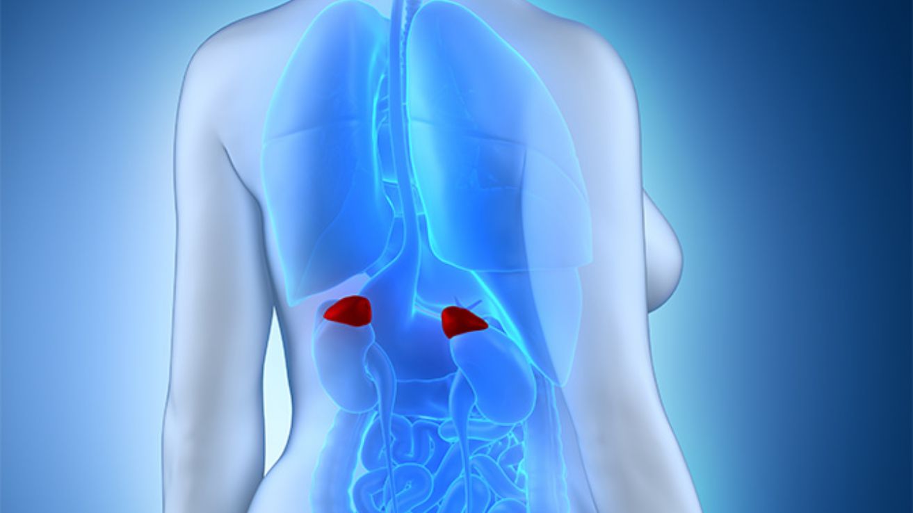 Addison's disease consultation and hormone care in Hyderabad