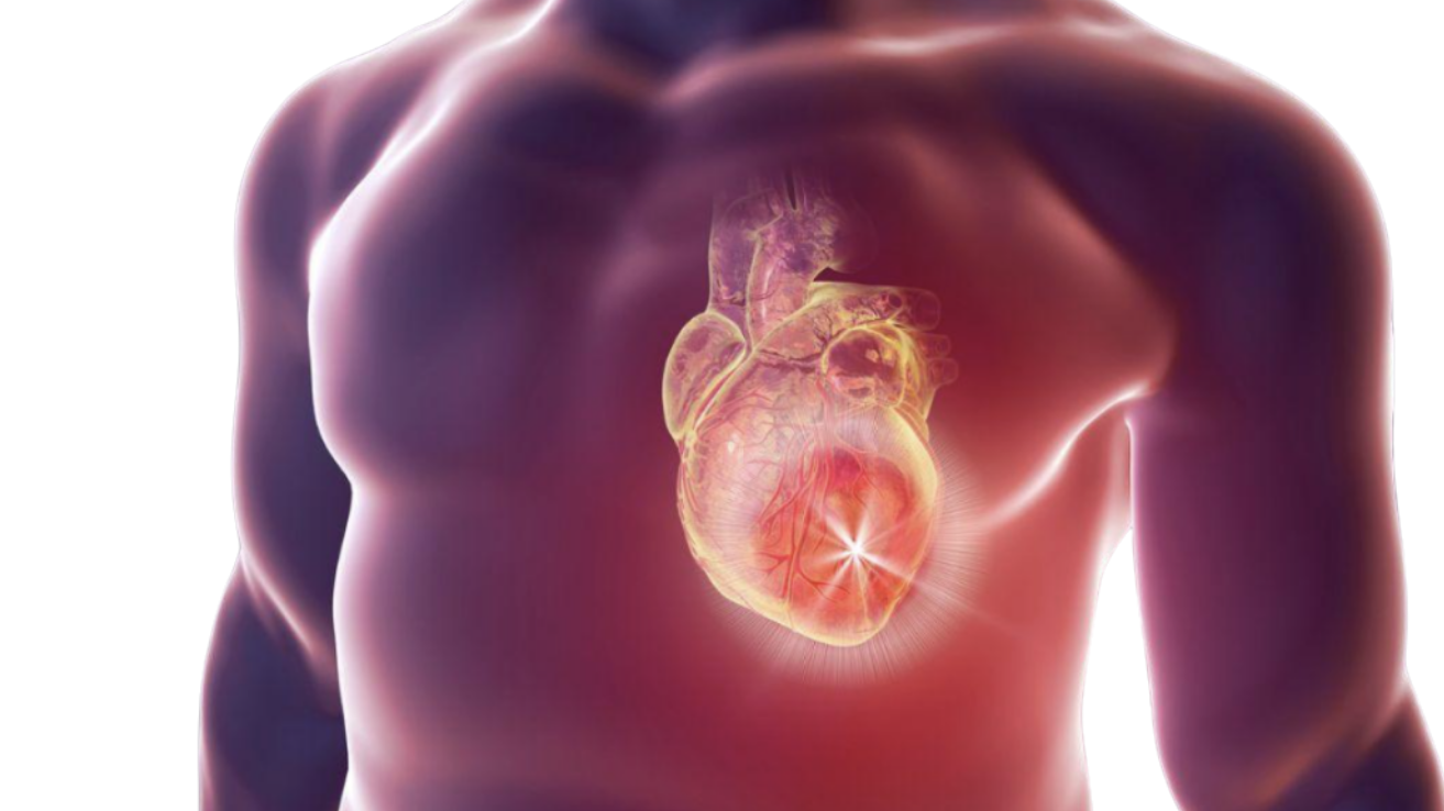 Rheumatic heart disease and valve evaluation in Hyderabad