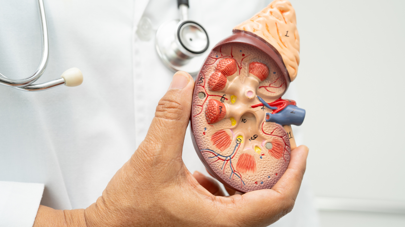 Acute kidney injury (AKI) evaluation and care in Hyderabad