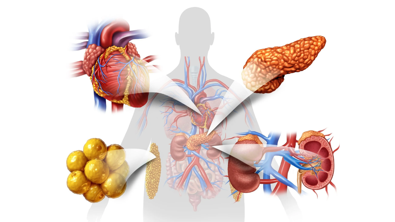 Metabolic disease evaluation and care in Hyderabad