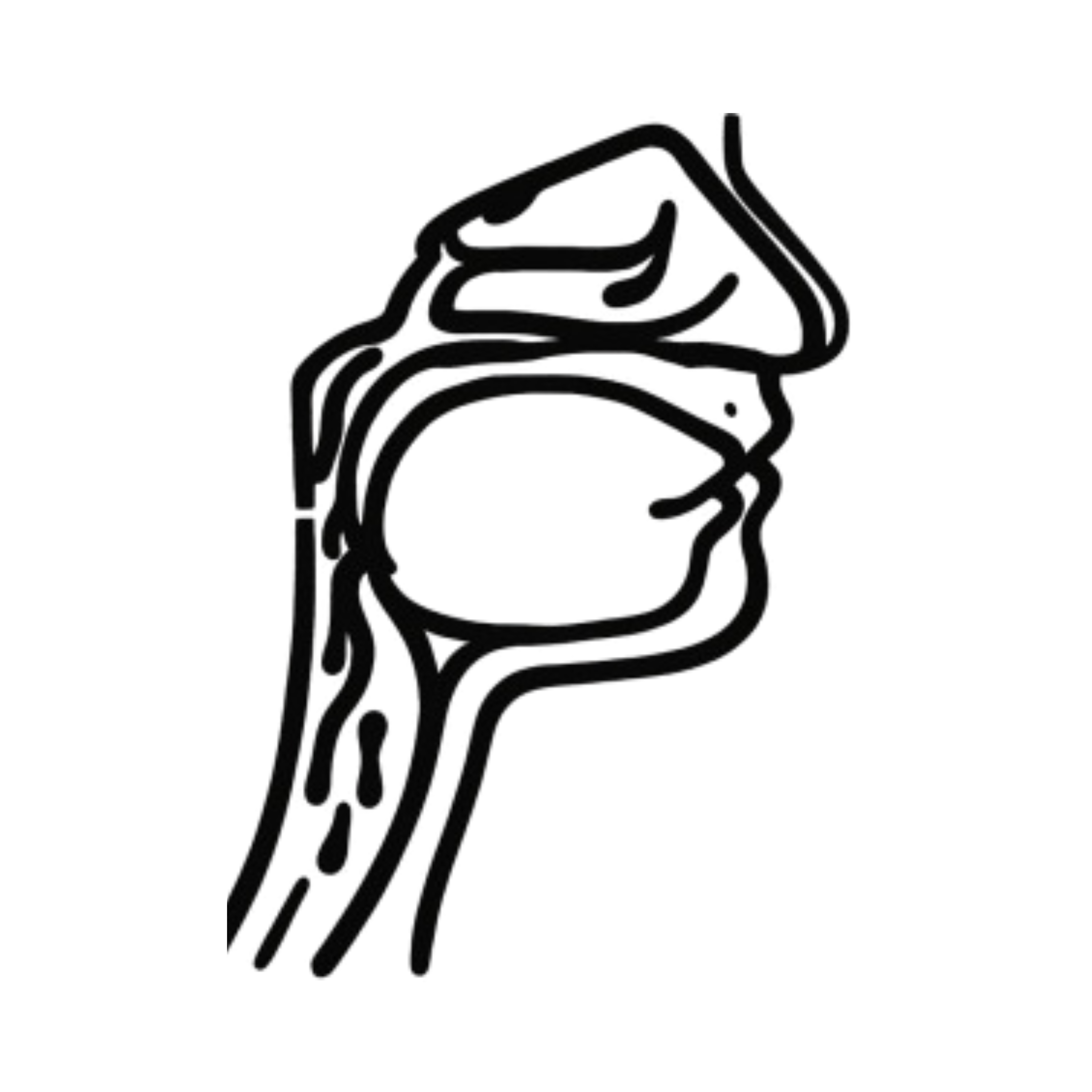 Postnasal Drip