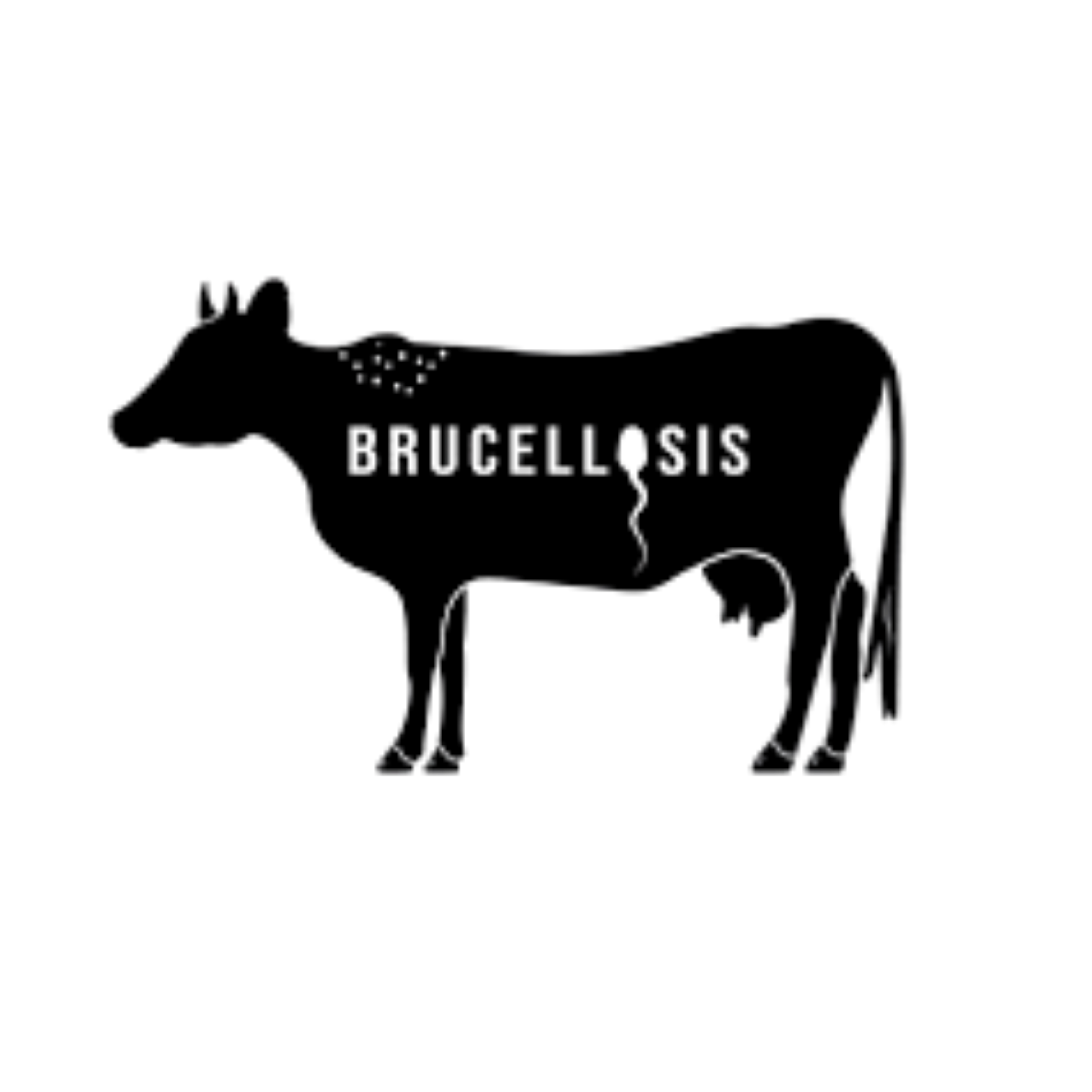 Brucellosis