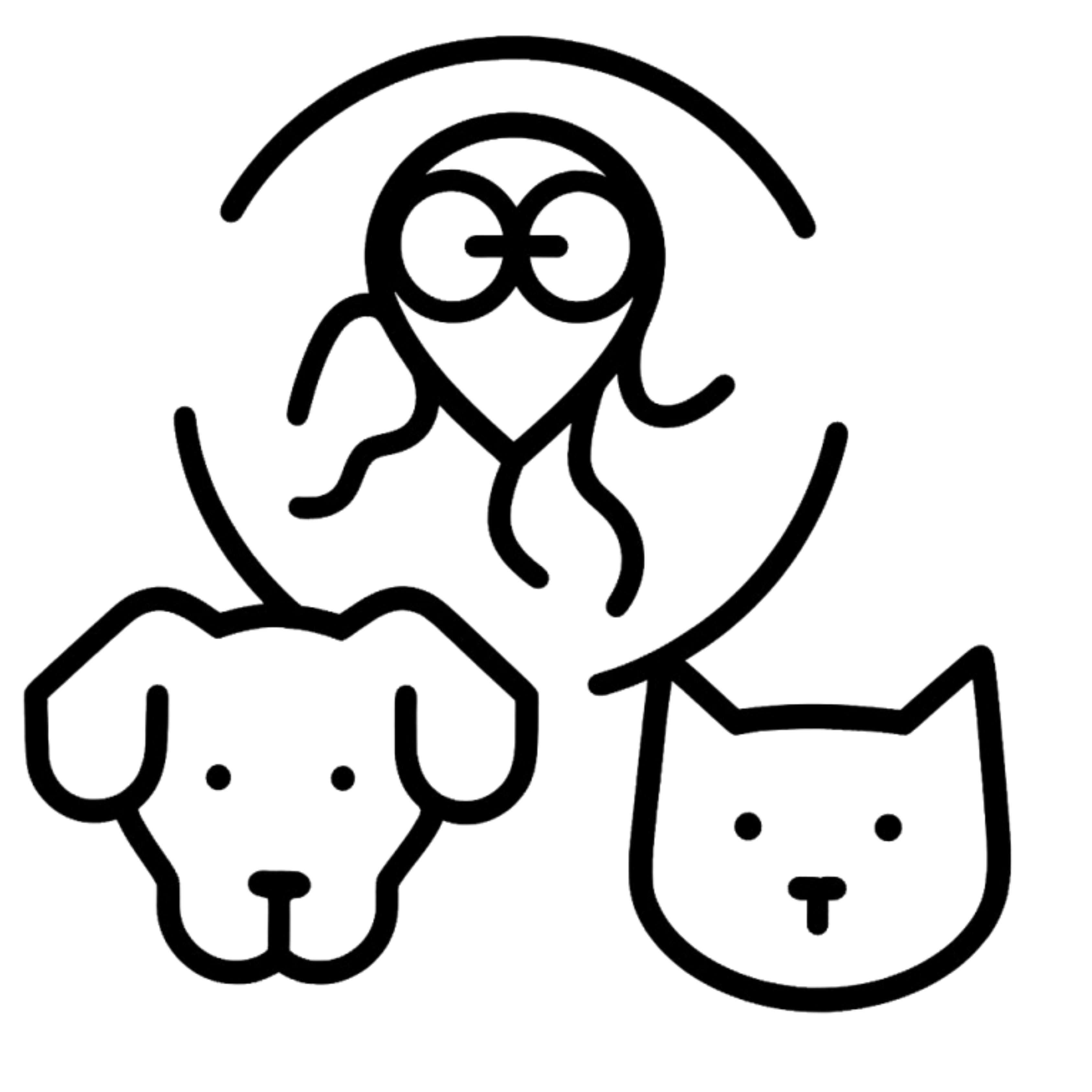 Giardiasis