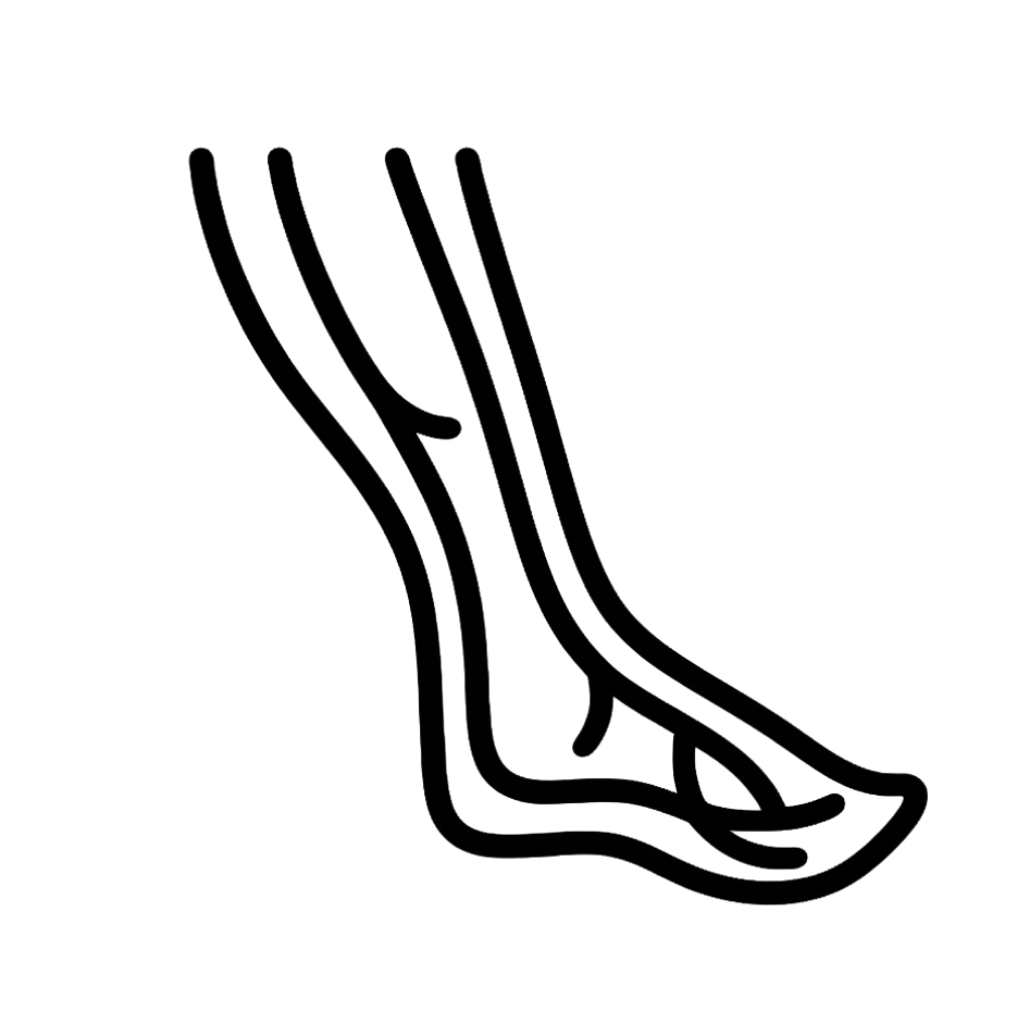 Peripheral Vascular Disease