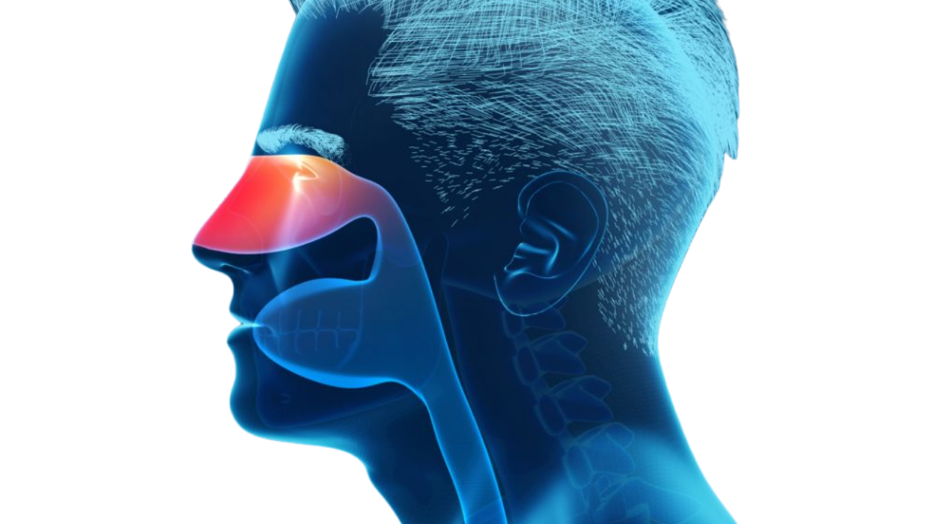 Hay fever pollen allergy assessment in Hyderabad