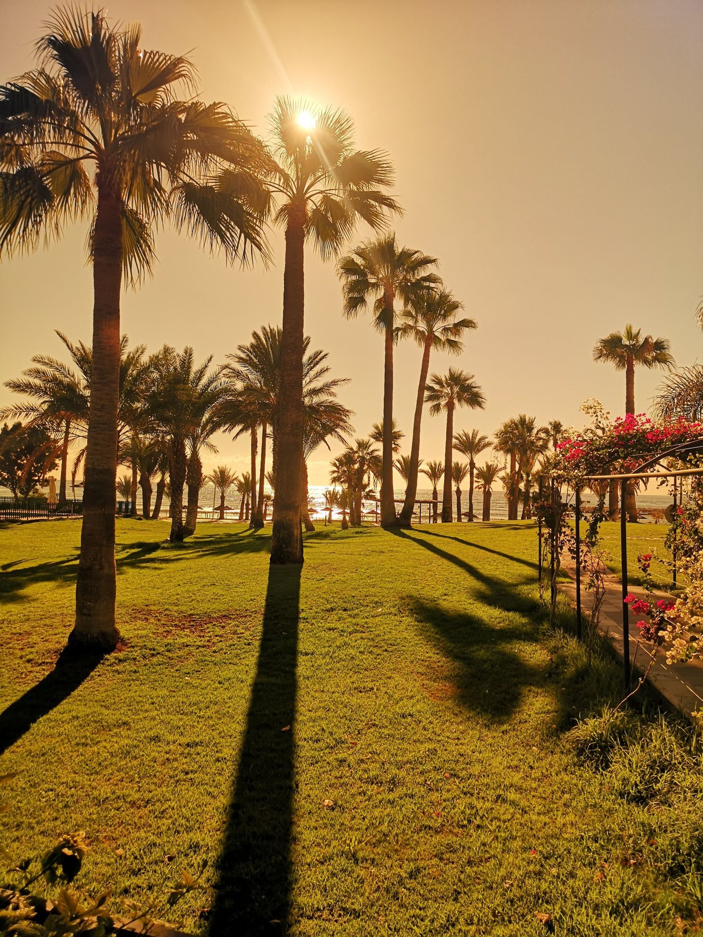 Hotels & Resorts