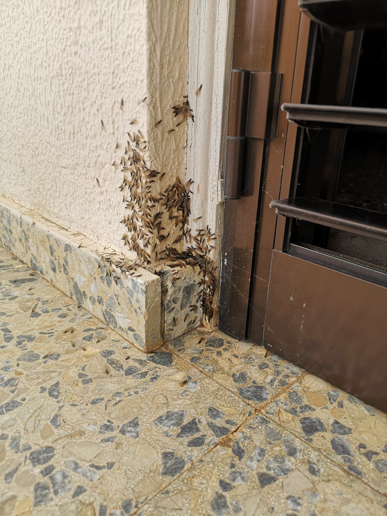 Προτεραιότητες κτιριακού κινδύνου