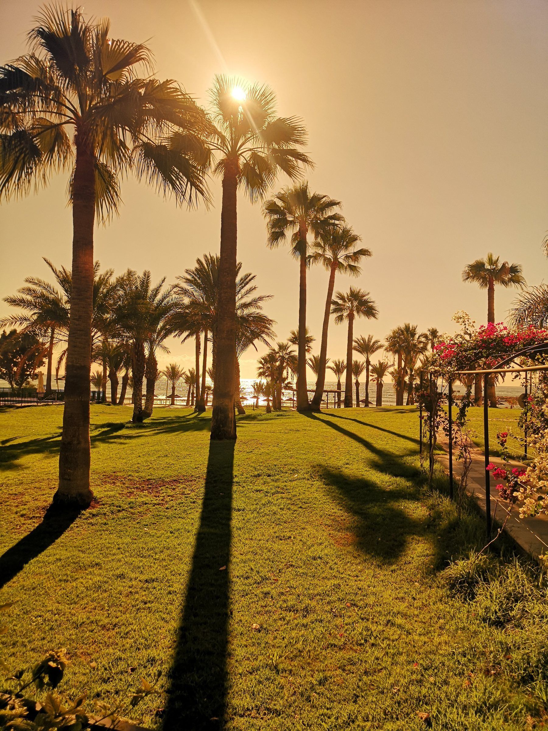 Cyprus resort garden prepared for seasonal outdoor pest-control planning