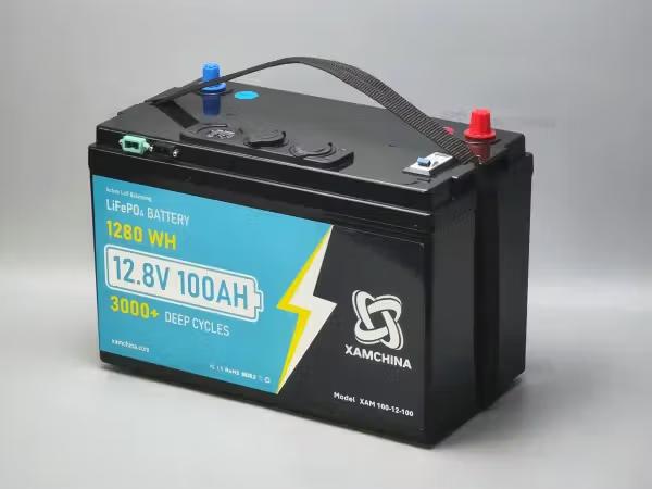 TRUCKCOOL 12V 100Ah Lithium Battery B12