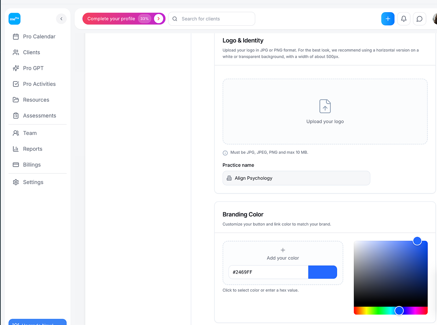 Screenshot: Logo & Identity and Branding Color.