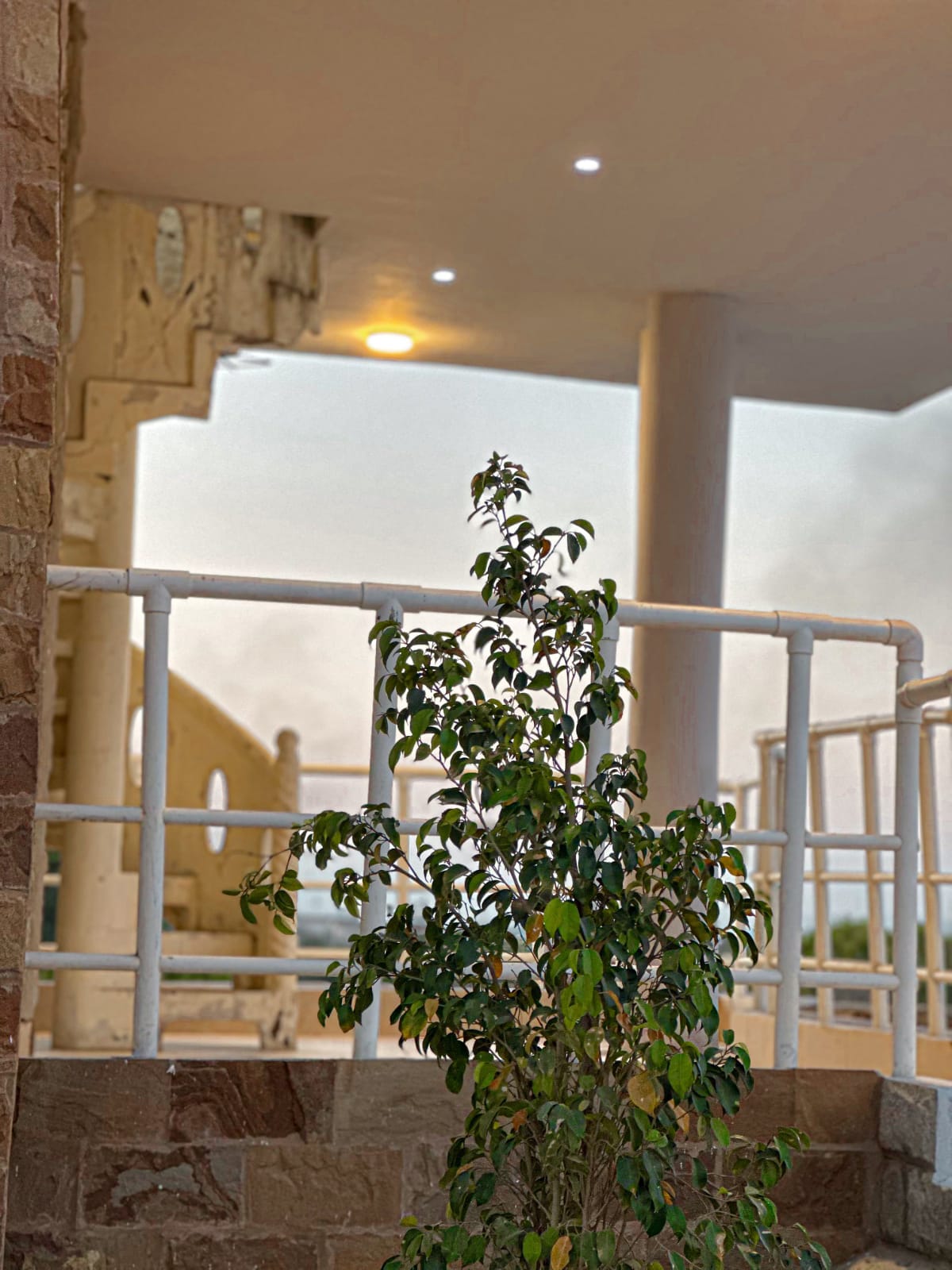 The Beach Resort A-58 gallery photo 17