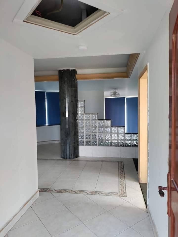 Mapple 1 A-11 gallery photo 1
