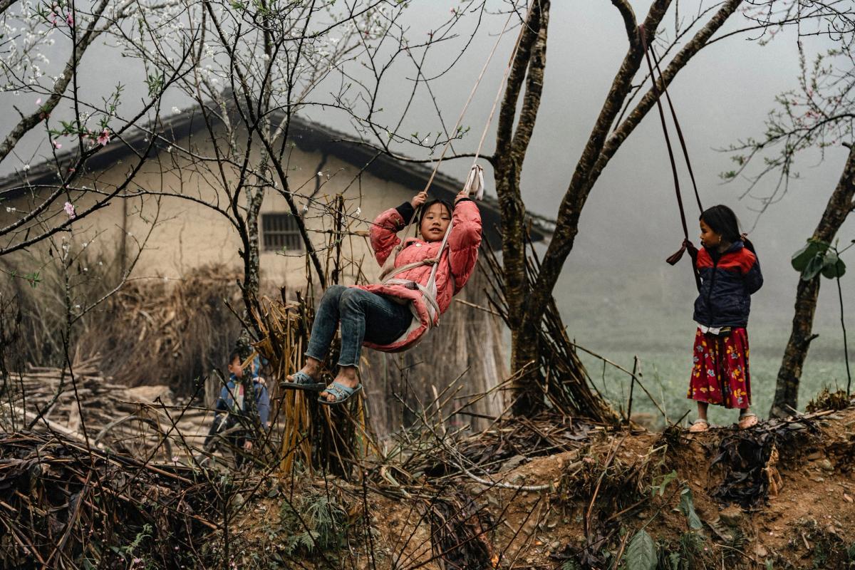 children playing in a tree