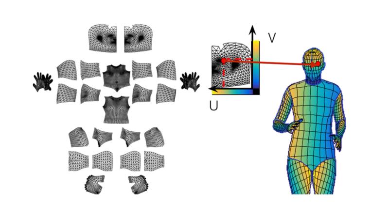 DensePose segmentation output showing a full-body photograph transformed into color-coded anatomical regions