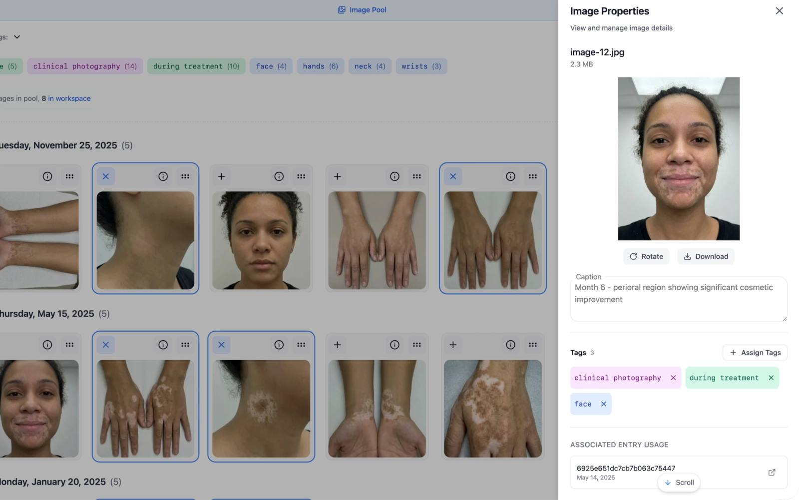 The Image Properties panel showing the image preview, metadata fields, caption, tags, associated entries, and action buttons