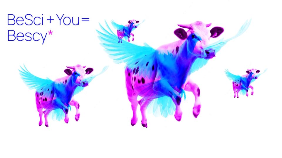 BeSci plus you equals Bescy, with colorful winged cows