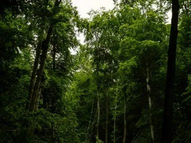 Environment Group gathering