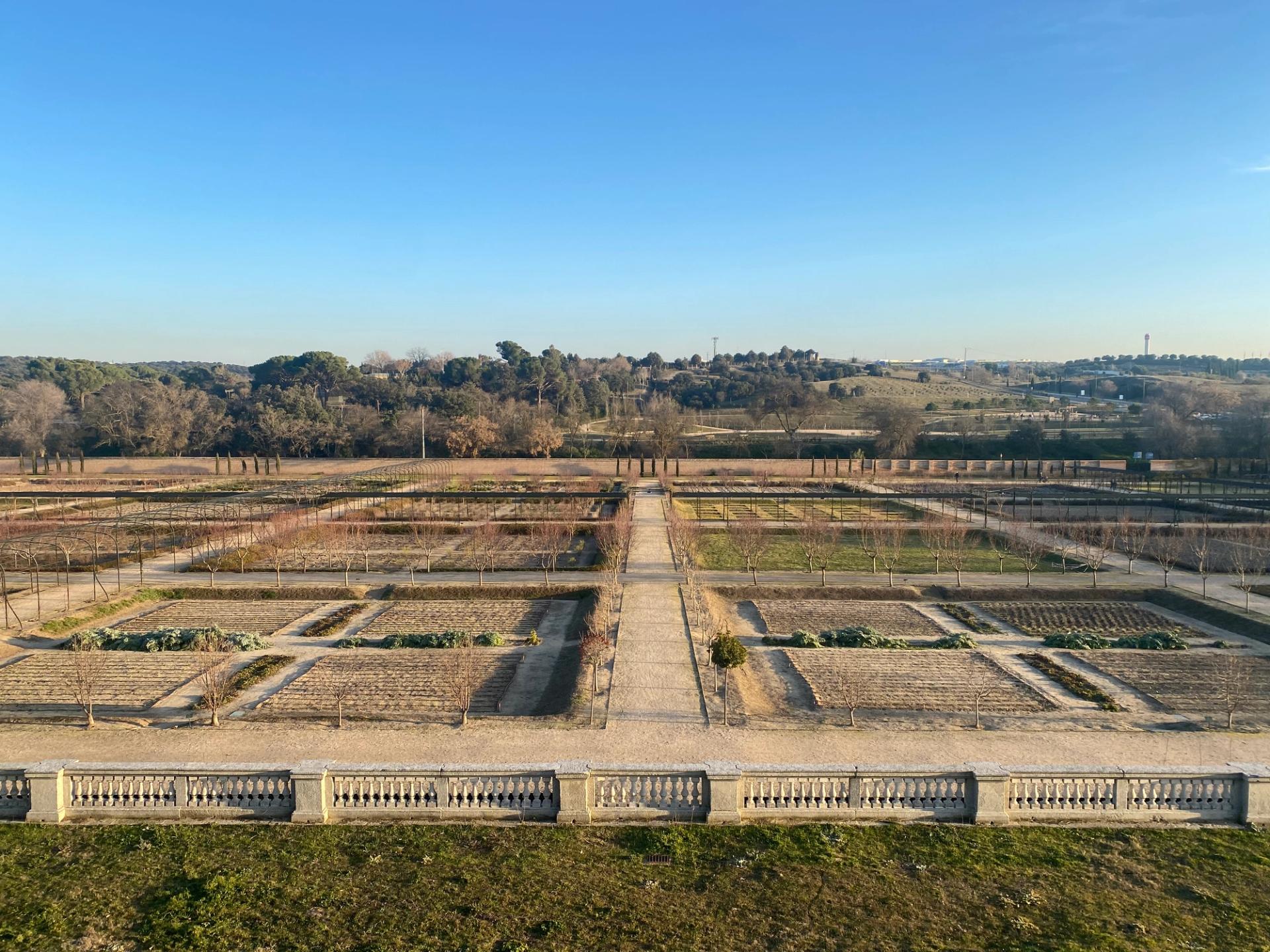 This high-angle view captures Pikwe Estates’ elegant landscape, with structured plots, open pathways, and serene skies shaping a timeless, harmonious setting.