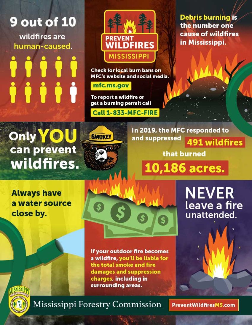 Mississippi Wildfire Prevention Infographic