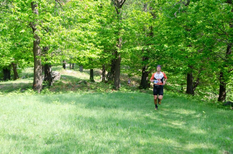 Trail runner through green meadows and chestnut trees on the UTLAC 30 course