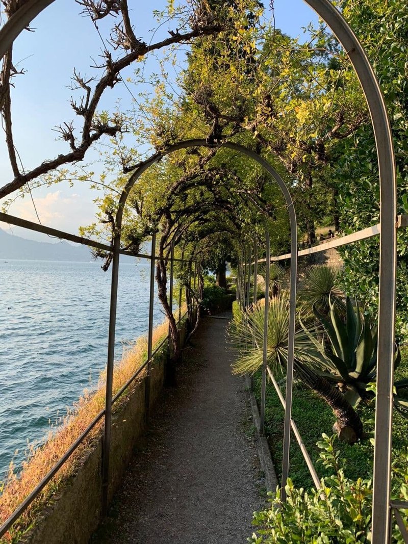 The botanical garden of Villa Monastero with exotic plants