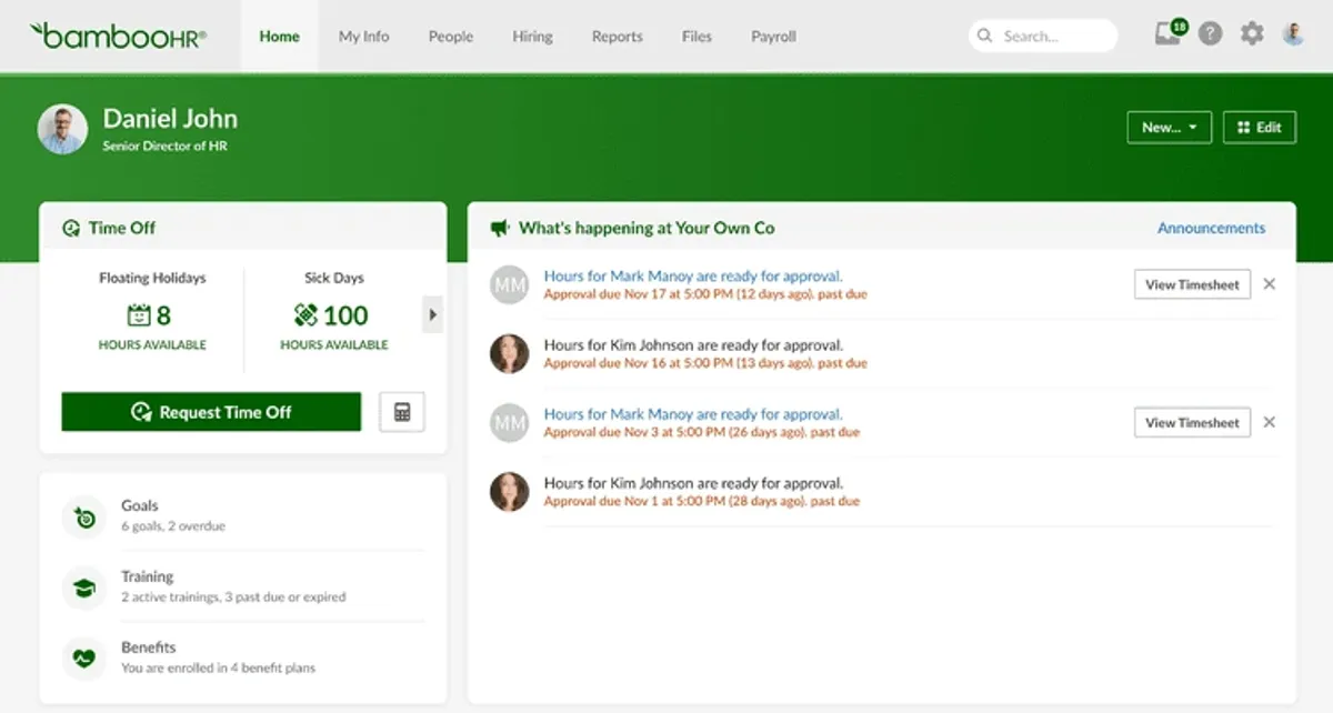Bamboo HR Leave Management System