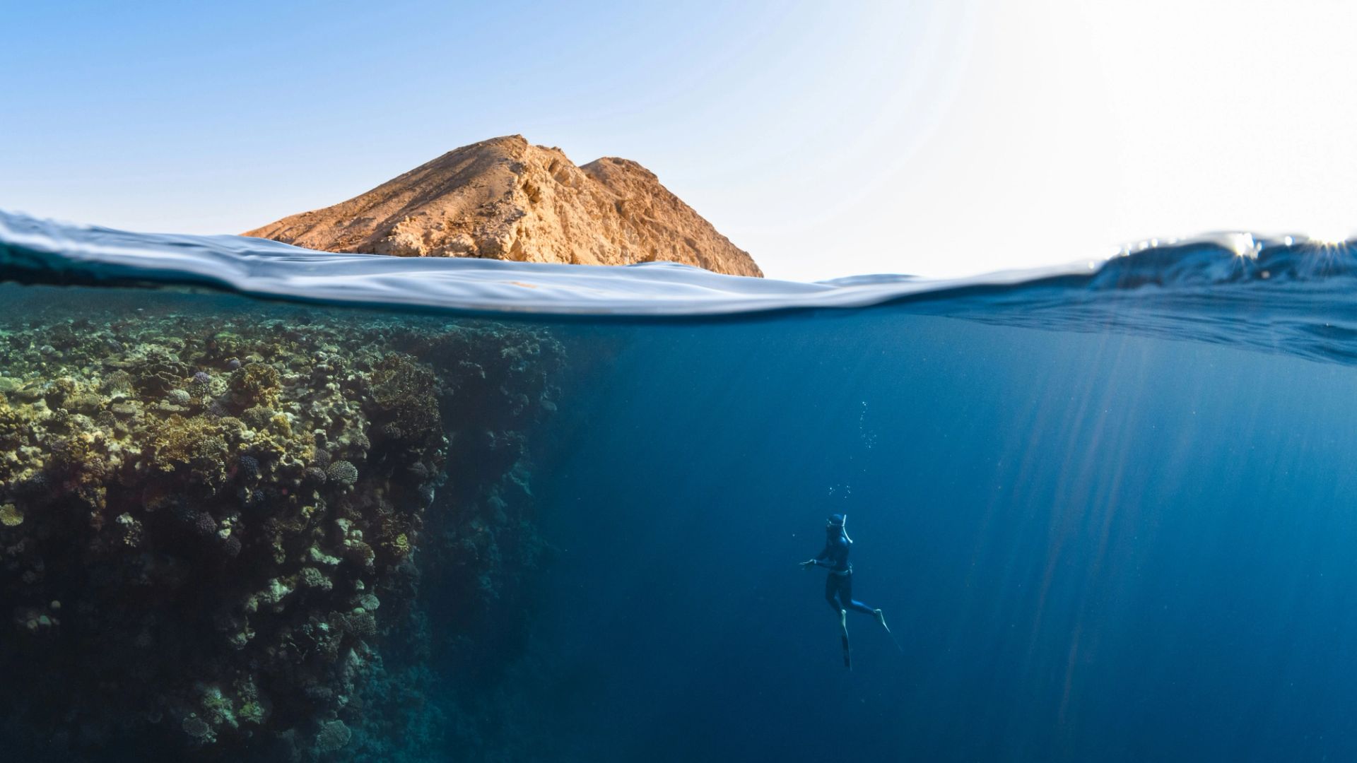 Understanding the Blue Mind Theory