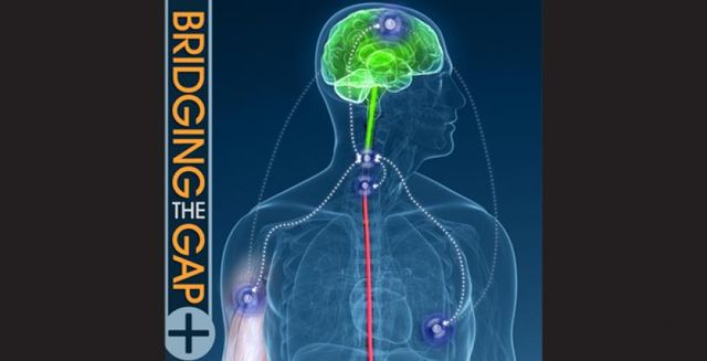 Bridging the Gap: Recent Advances in Bioelectronics and Neural Interfaces