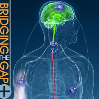 Bridging the Gap: Recent Advances in Bioelectronics and Neural Interfaces
