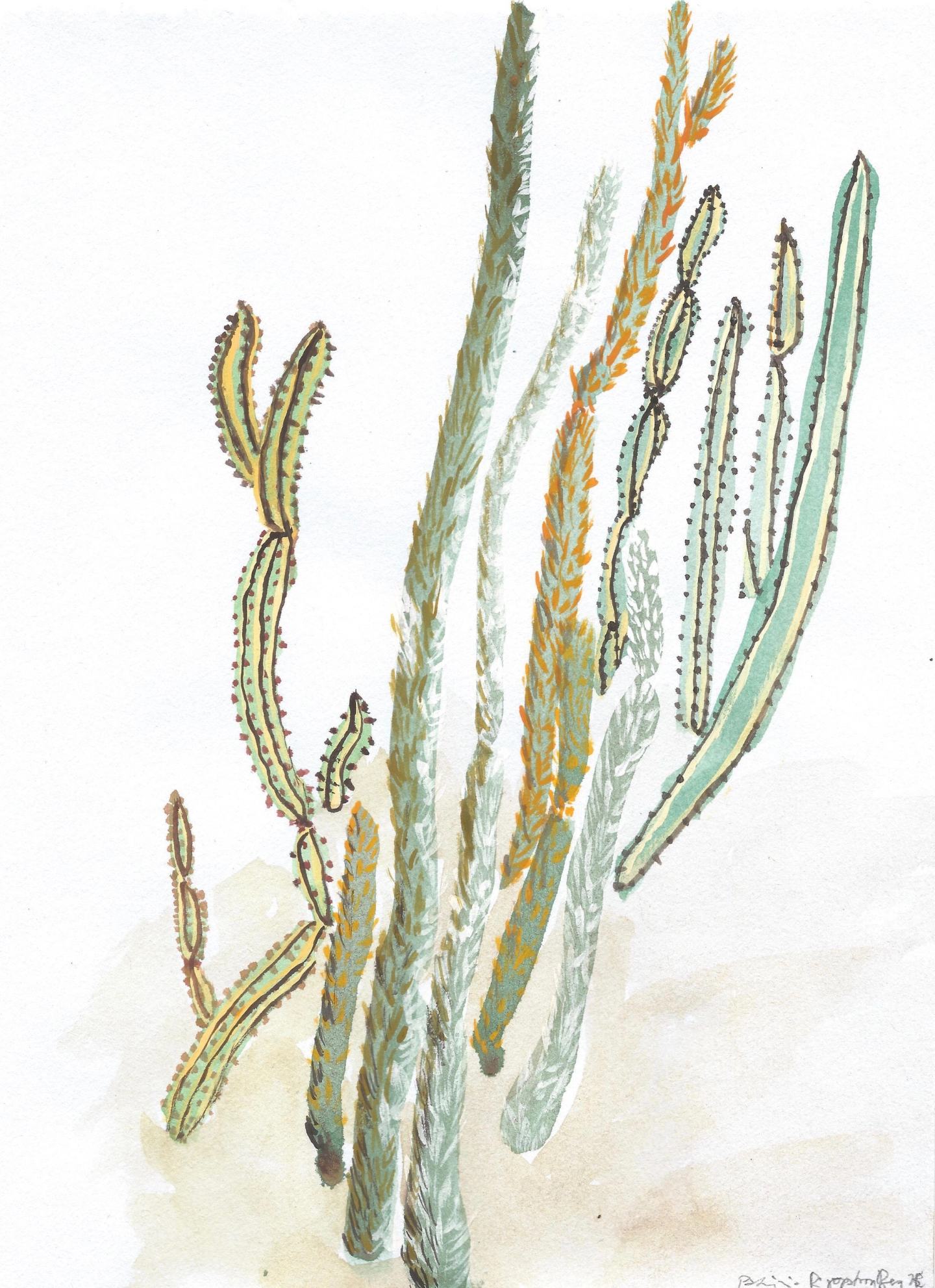 Scan0009 1