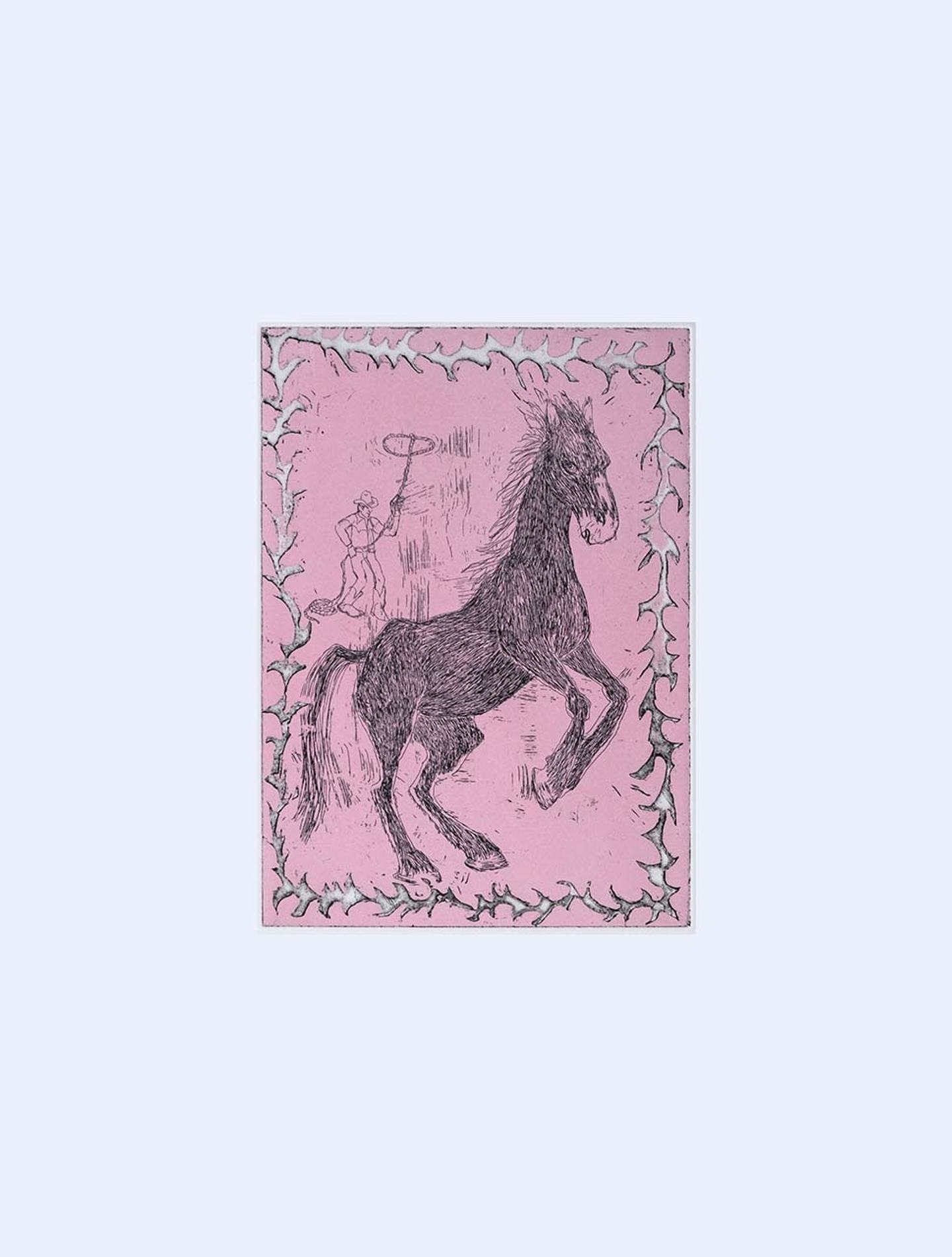 Rodeo2 rosa liten