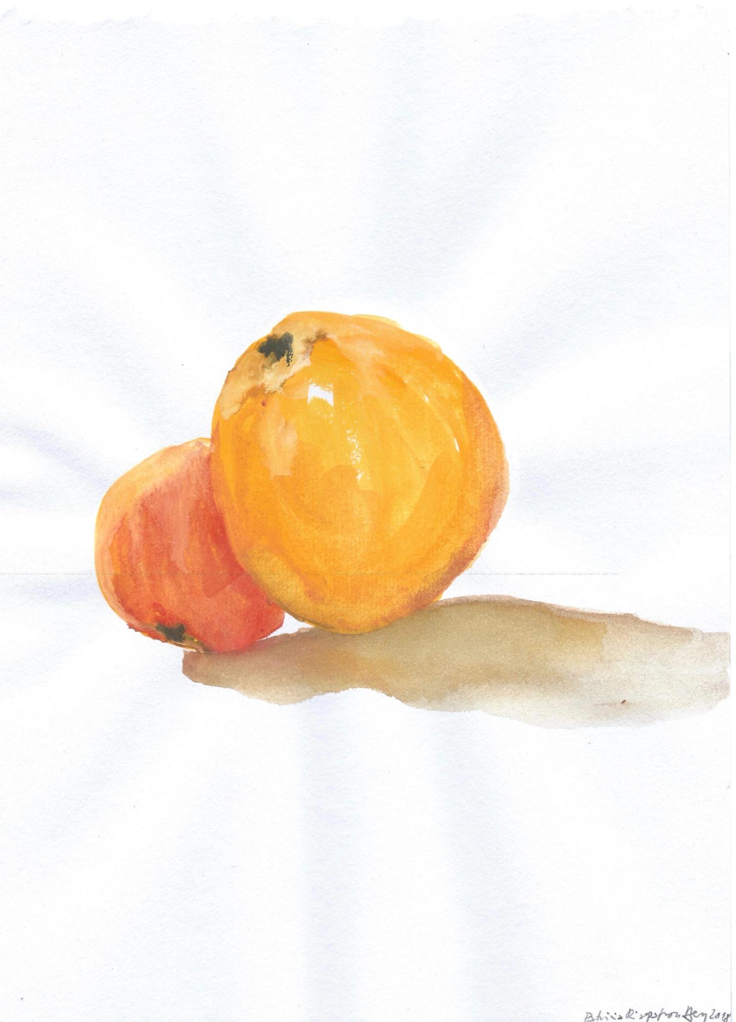 Scan0012 1