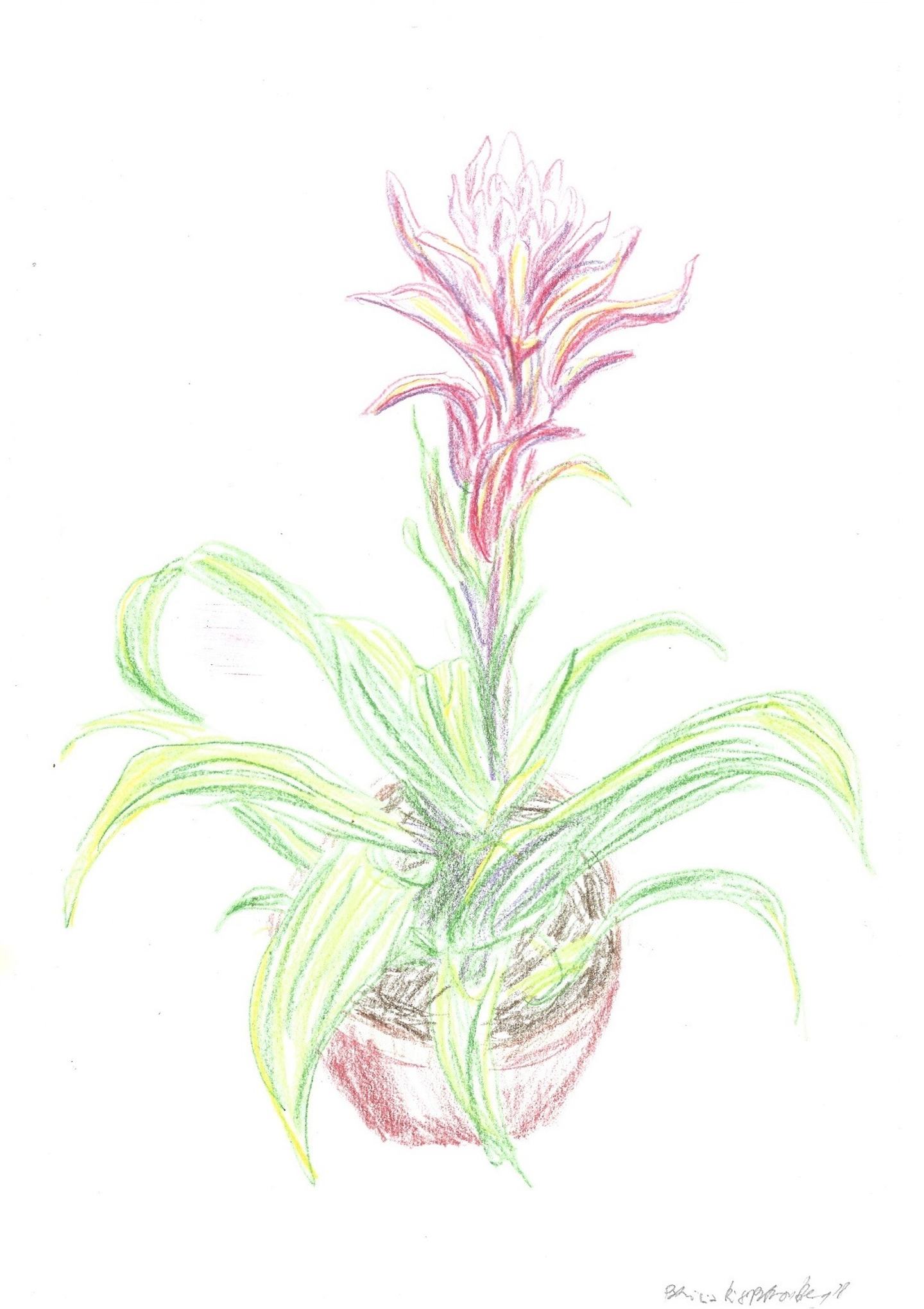 Scan0002 1