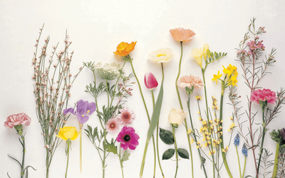 Spring Home Maintenance Checklist: 10 Tasks That Protect Your Insurance Coverage