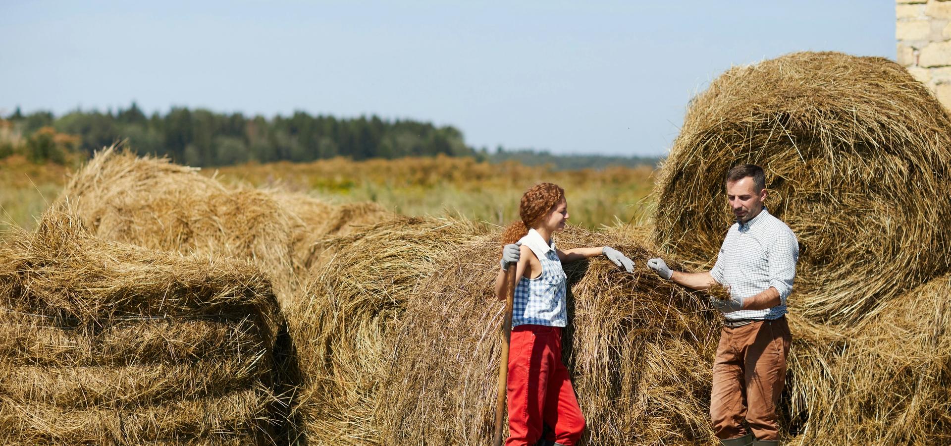 Why Roughley's Farm Team Ensures Proper Coverage Where Others Fail