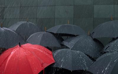 Personal Umbrella Insurance in Ontario: The Low-Cost Policy That Could Save Everything You Own