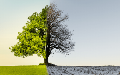 Climate Change Is Driving Up Your Home Insurance Premium. Here's What Ontario Homeowners Need to Know.