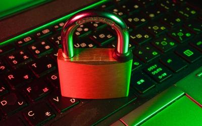 Navigating Your Options: How to Select the Right Cyber Insurance for Your Small Business