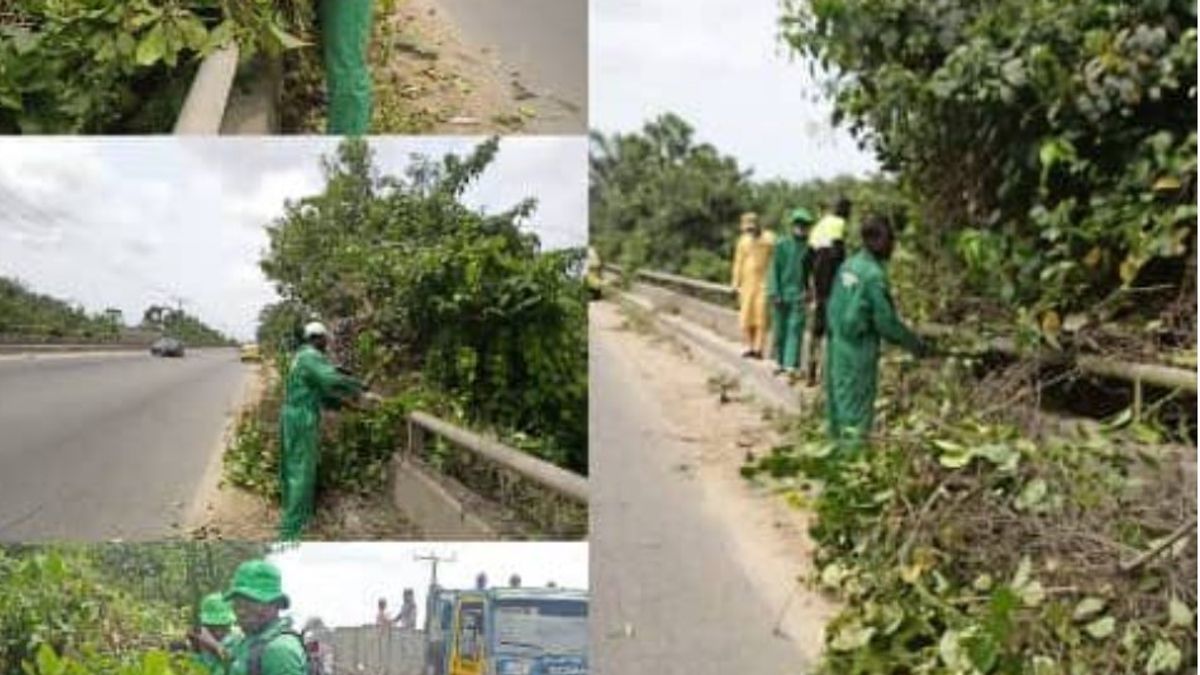 CLEANER IBEJU -LEKKI CAMPAIGN – GARDENERS TEAM ON THE FIELD AT IBEJU-OKEGUN BRIDGE