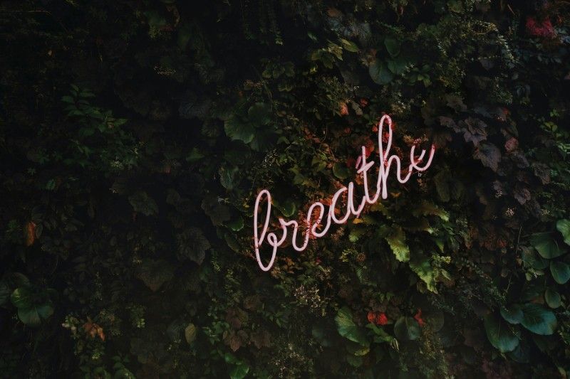 How to Follow the Breath with Ease: Unlocking the Secret to Effortless Meditation