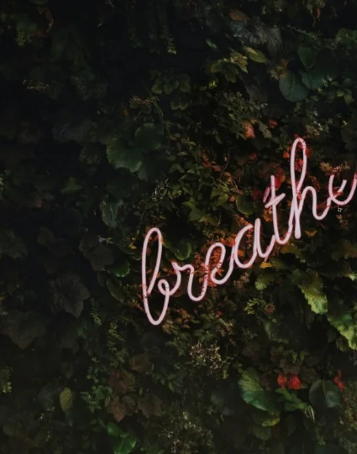 How to Follow the Breath with Ease: Unlocking the Secret to Effortless Meditation