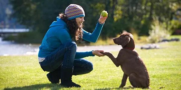 Lista de Comandos AutoCAD