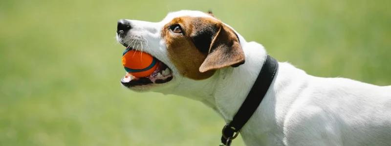 Lista de Comandos do AutoCAD em Português | Completa e Atualizada