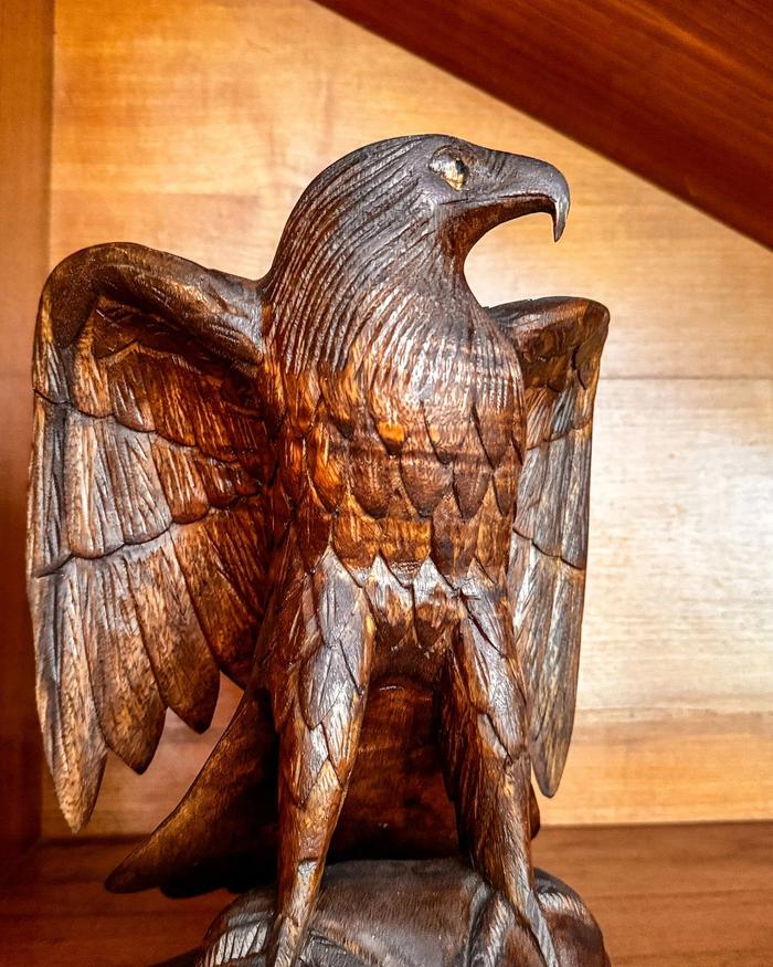 Adler im Aufwind