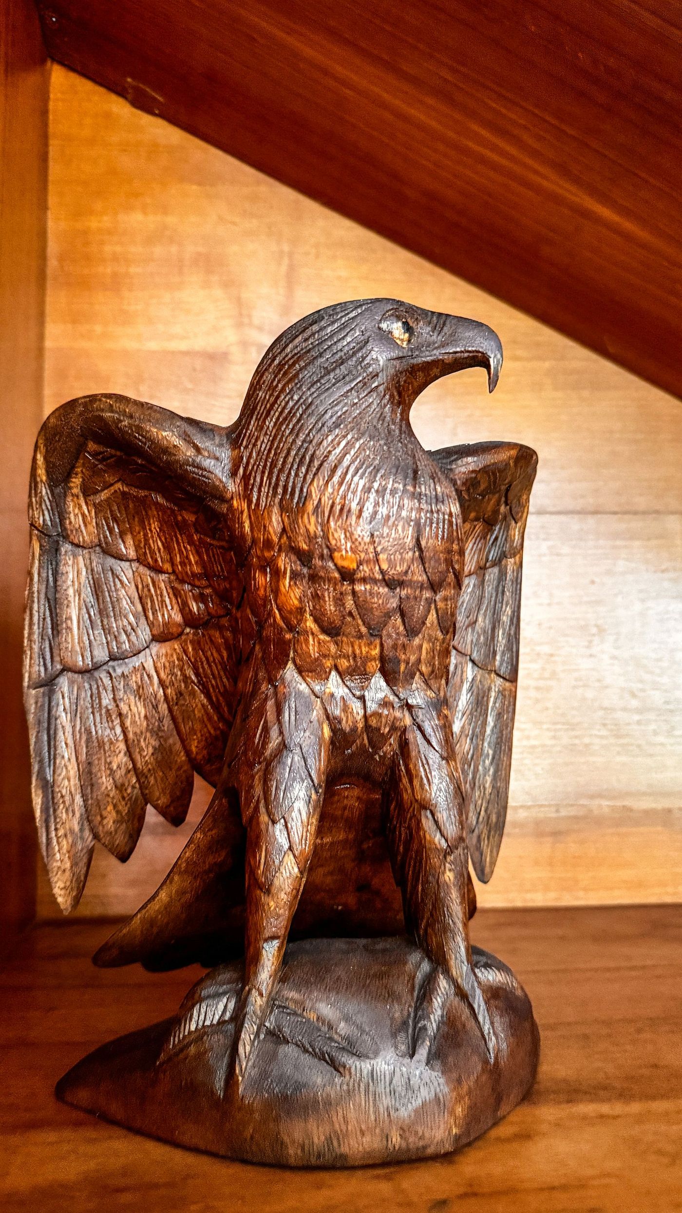 Adler im Aufwind