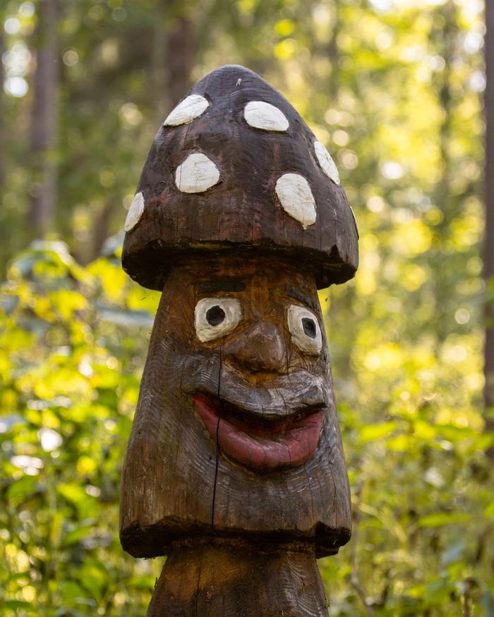 Pilz