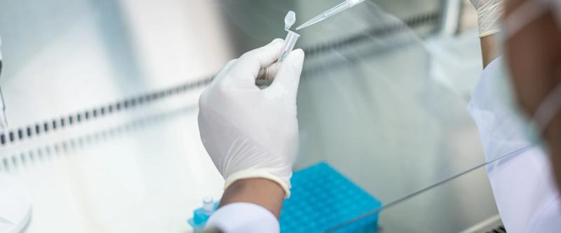 INTCO Medical تسلّط الضوء على محطات النمو والابتكار العالمية في 2025
