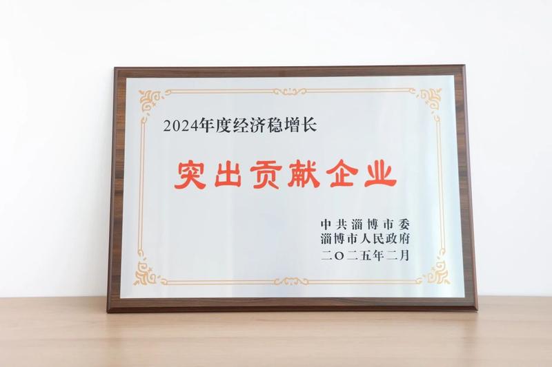 INTCO Medical distinguida como «2024 Outstanding Enterprise for Economic Stability and Growth in Zibo»